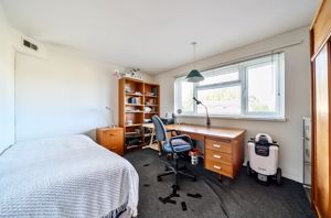 Photo 14- click for photo gallery